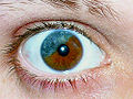Thumbnail for version as of 07:00, 19 September 2011