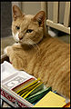 Thumbnail for version as of 13:07, 2 September 2011