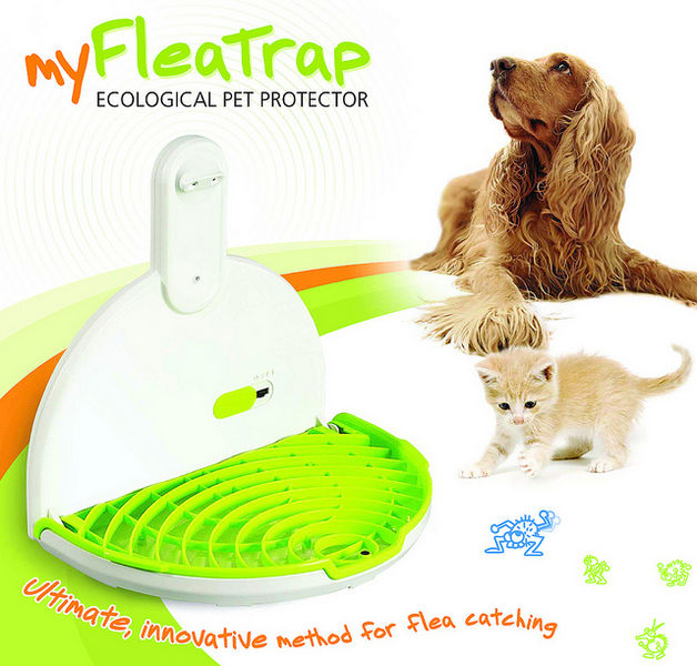 File:How To Get Rid Of Fleas 2574.jpg