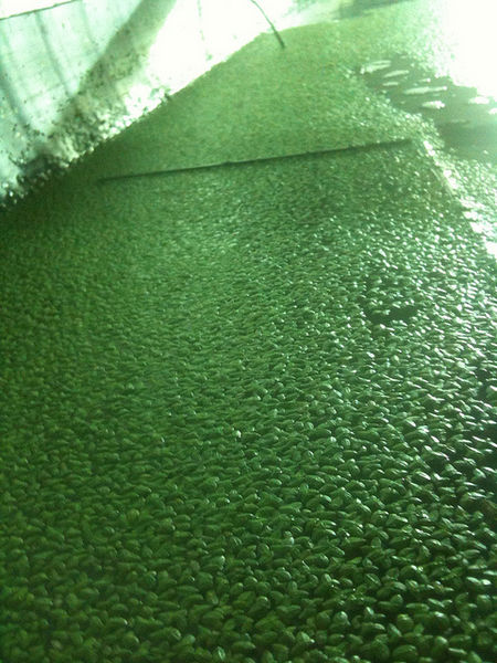 File:Hydroponic Grow Box 3883.jpg