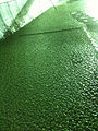 Thumbnail for version as of 07:36, 26 November 2011